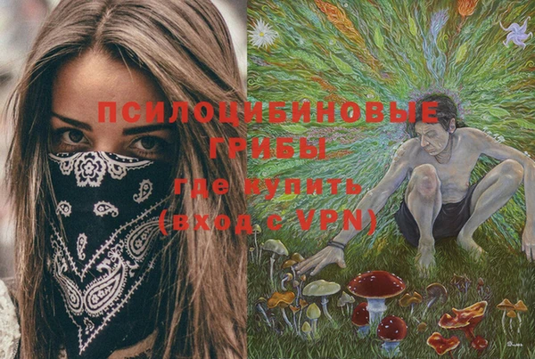 эйфоретик Лабытнанги